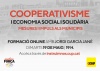 Cooperativisme i economia social i solidària: mesures d'impuls als municipis